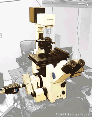 Olympus Inverted Mcriscope IX 71