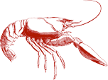 Crawdad logo